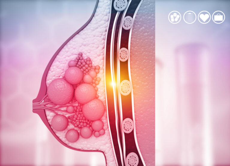 Anatomia das mamas: Tudo que você precisa saber!
